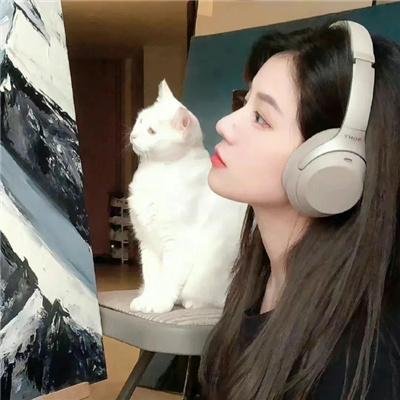 女子十二不设防